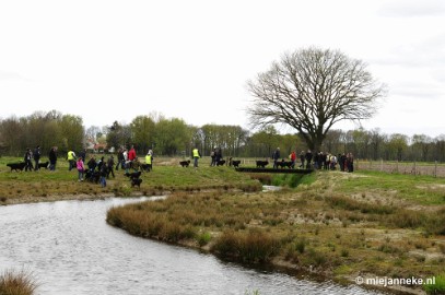 72 m Berner Sennen Meeting Limburg