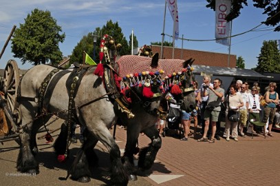 _DSC2494 Festeijnder 2012