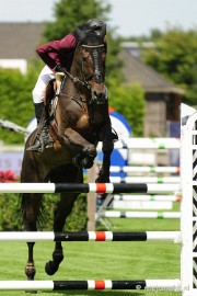 _DSC3250 Hippique Concours Valkenswaard