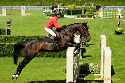 _DSC3338 Hippique Concours Valkenswaard