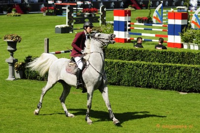 _DSC3422 Hippique Concours Valkenswaard