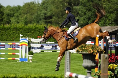 _DSC3519 Hippique Concours Valkenswaard