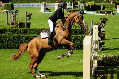 _DSC3591 Hippique Concours Valkenswaard