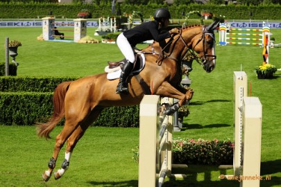 _DSC3592 Hippique Concours Valkenswaard