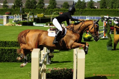 _DSC3593 Hippique Concours Valkenswaard