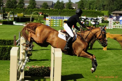 _DSC3594 Hippique Concours Valkenswaard