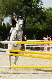 _DSC3761 Hippique Concours Valkenswaard