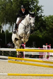 _DSC3763 Hippique Concours Valkenswaard