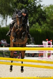 _DSC3801 Hippique Concours Valkenswaard