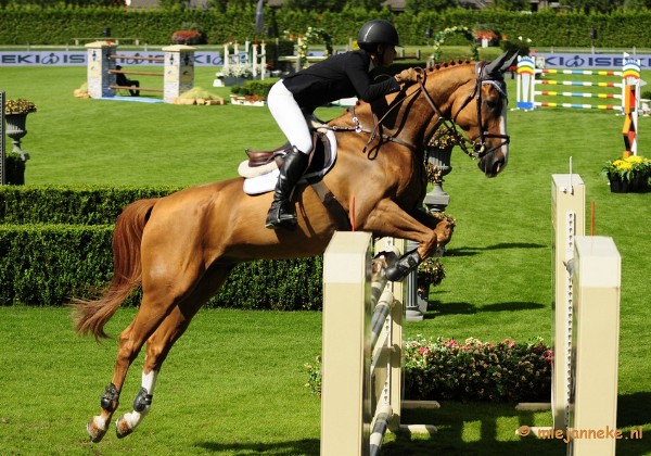 Hippique Concours Valkenswaard