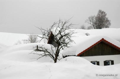 DSC_2919 Bayerisch Wald