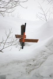 DSC_2945 Bayerisch Wald