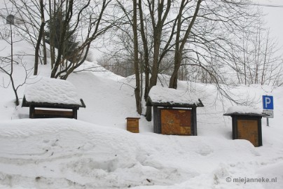 DSC_2946 Bayerisch Wald