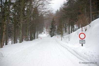 DSC_2948 Bayerisch Wald