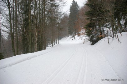 DSC_2949 Bayerisch Wald