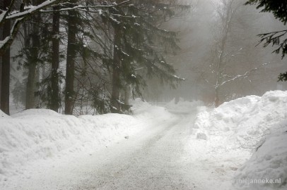 DSC_2980 Bayerisch Wald