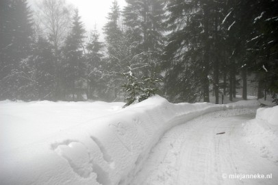 DSC_2983a Bayerisch Wald