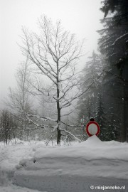 DSC_2985 Bayerisch Wald