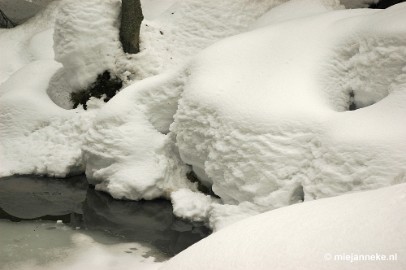 DSC_3019 Bayerisch Wald