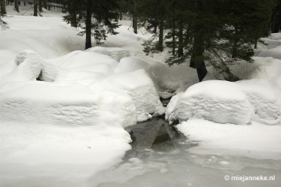 DSC_3021 Bayerisch Wald