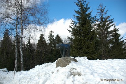 DSC_3056 Bayerisch Wald