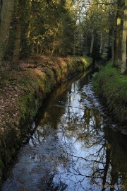 _DSC2015 De Pan Cranendonck