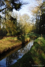 _DSC2024 De Pan Cranendonck