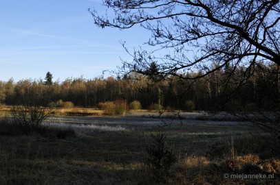 _DSC2054 De Pan Cranendonck