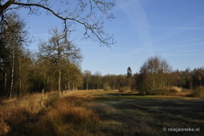 _DSC2060 De Pan Cranendonck