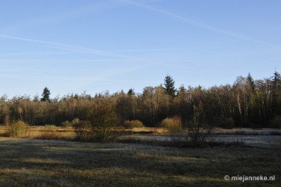 _DSC2070 De Pan Cranendonck