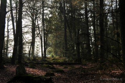 _DSC2080 De Pan Cranendonck