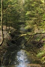 _DSC2087 De Pan Cranendonck