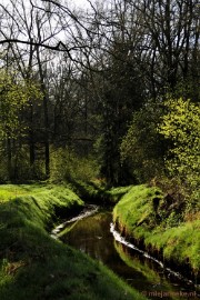 _DSC2101 De Pan Cranendonck