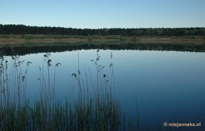 DSC_8086 Lommel Sahara