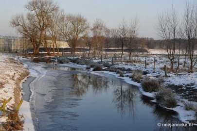 _DSC7540 Strabrecht