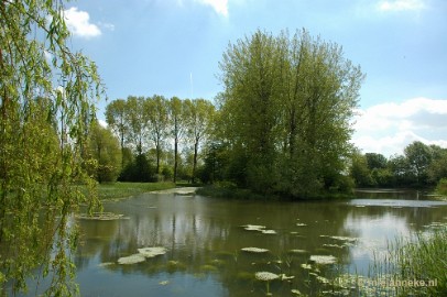 DSC_3124 Veel water