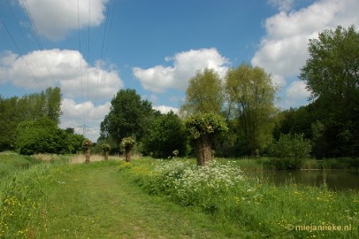 DSC_3126 Wandelpad door park langs de grote weg Ridderkerk