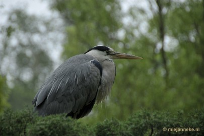 _DSC9032a En hij zei me houdoe en kom vooral eens terug.