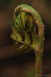 _DSC3669 Lente in Arcen