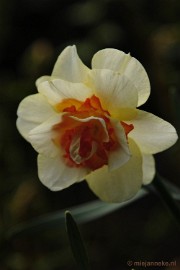 _DSC3673 Lente in Arcen