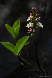 _DSC3729 Lente in Arcen