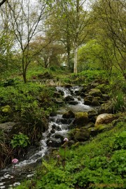 _DSC3859 Lente in Arcen
