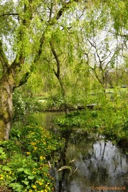 _DSC3876 Lente in Arcen