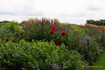 _DSC2037 Floriade 2012