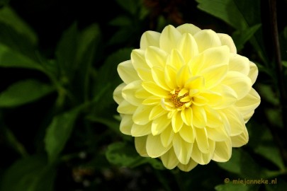 _DSC2063 Floriade 2012