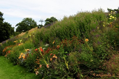 _DSC2068 Floriade 2012