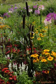 _DSC2191 Floriade 2012