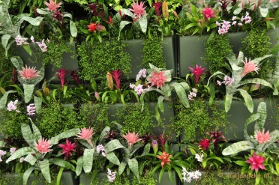 _DSC9242 Floriade 2012