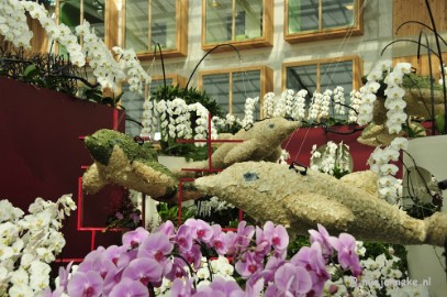 _DSC9353 Floriade 2012