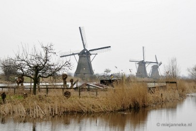 _DSC8870 Kinderdijk